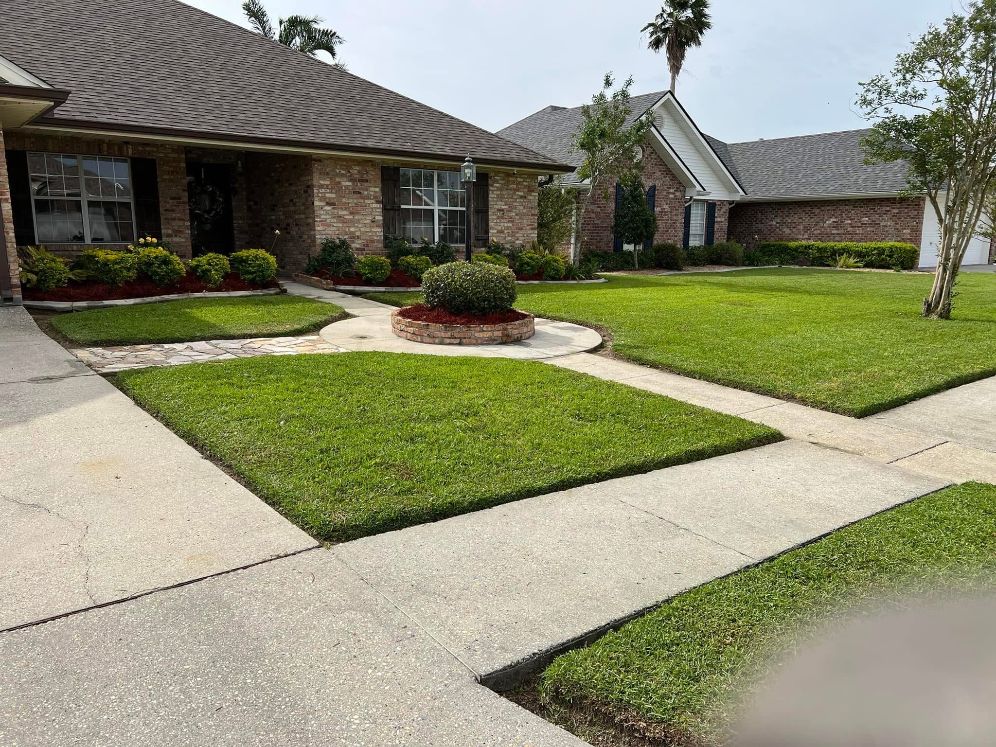 Landscaping transformation project